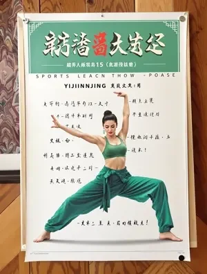 易筋经入门 海报