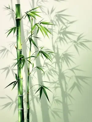 竹影 海报